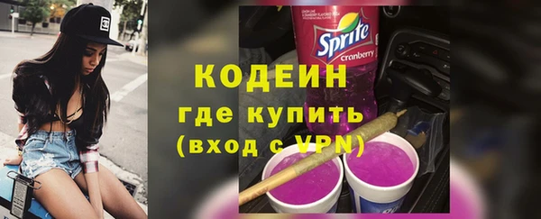 spice Богородицк